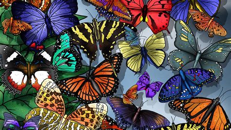 Butterflies Background Hd Butterfly Wings Wallpapers Hd Desktop