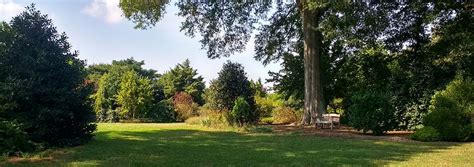 Jc Raulston Arboretum Free Botanic Garden In Raleigh North Carolina