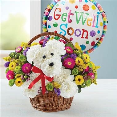 Jul 13, 2021 · so send a funny get well soon message and put a smile on the recuperating patients face. 1-800-FLOWERS® A-DOG-ABLE® IN A BASKET GET WELL | 1-800 ...