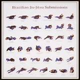 Brazilian Jiu Jitsu Positions
