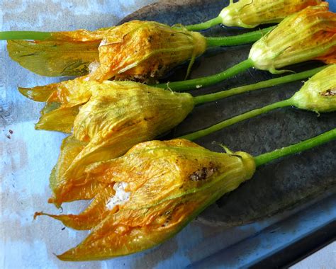 Yup, i can say that now. Seasonal Ontario Food: Baked Stuffed Zucchini Blossoms