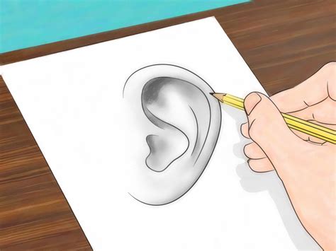 How To Draw Ears 6 Steps With Pictures Wikihow