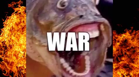 Fish Screaming War Know Your Meme