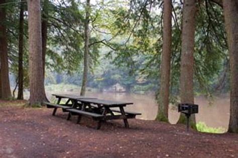 Maybe you would like to learn more about one of these? Clear Creek State Park (Sigel, PA): Top Tips Before You Go ...