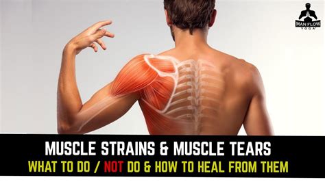 Muscle Strains Muscle Tears What To Do Not Do How To Heal From