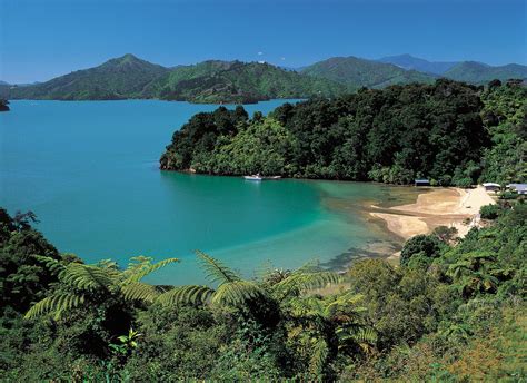 Visit Marlborough Sounds Tours Attractions And Places To See