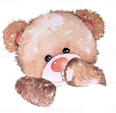 Watercolor Teddy Bear Hand Drawn Illustrationlovely Teddy Bear Brown