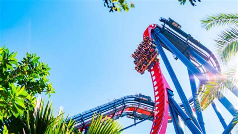 5 Scariest Roller Coaster Drops Around The World Scary Roller