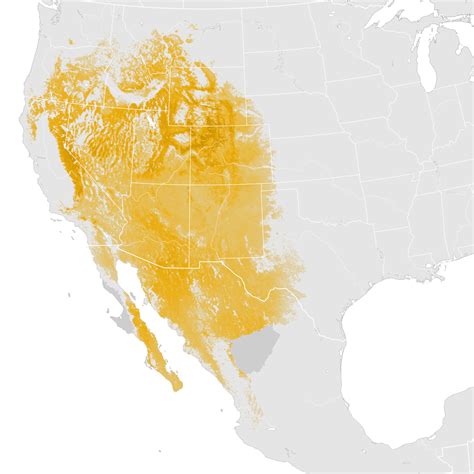 Green Tailed Towhee Abundance Map Pre Breeding Migration Ebird