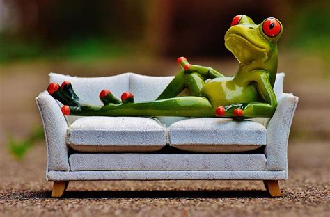 Frog Funny Bath Cute Concerns Relaxed Relax Figure Sweet Fun