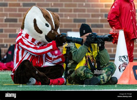 Wisconsin Badgers Mascot Bucky Badger Hi Res Stock Photography And