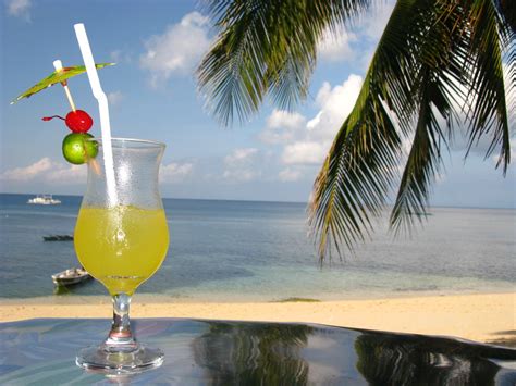 Drink Beach Palm Tree Holiday Vacation Hn Flickr