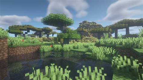 Minecraft Water Shaders Are The Best Enhancement For This Addictive