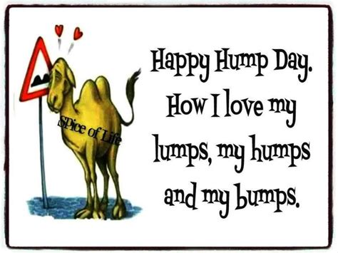 Happy Hump Day Wednesday Hump Day Wednesday Quotes Happy Hump Day