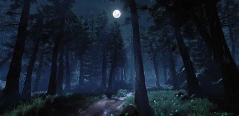 Artstation Night Forest Plawius Play With Us Night Forest Night
