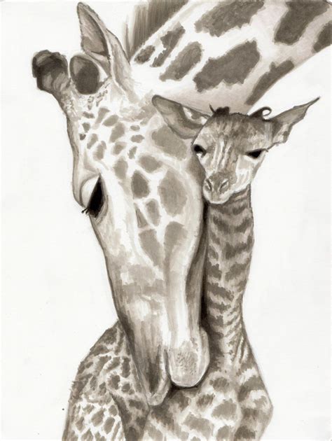 Images For Drawing Of A Giraffe Head Giraffe Drawing Giraffe Art