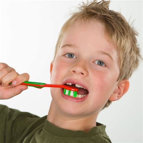 Es handelt sich um eine unumstößliche tatsache, dass es eine menge erfreuliche studien zu wann kriegen babys zähne gibt. 60 Top Images Zähneputzen Baby Ab Wann - Ratgeber ...