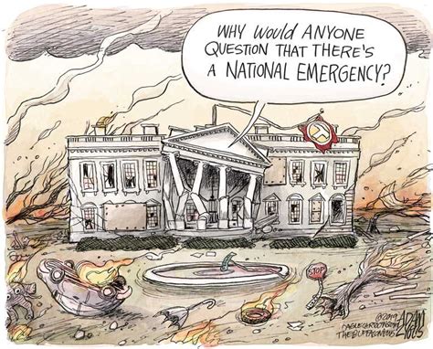 Political Cartoon On Trump Declares National Emergency By Adam Zyglis