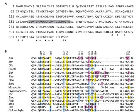 Figure 1 From The High Light Response In Arabidopsis Requires The