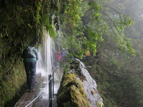 Here S Why Madeira Was Just Named The Best Island In Europe Photos Madeira Island Madeira