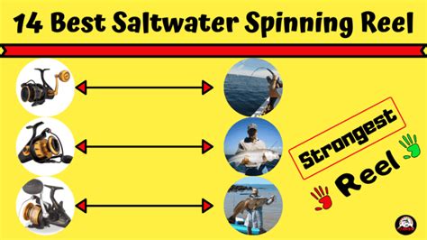 14 Best Saltwater Spinning Reel In 2023 Saltwater Approved