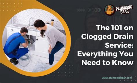 Clogged Drain Service Everything You Need To Know