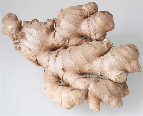What To See When Buying Ginger How To Store It HerZindagi