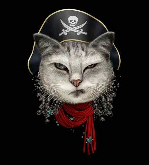 Pirate Cat Pirate Cat Pirates Illustration Beautiful Cat