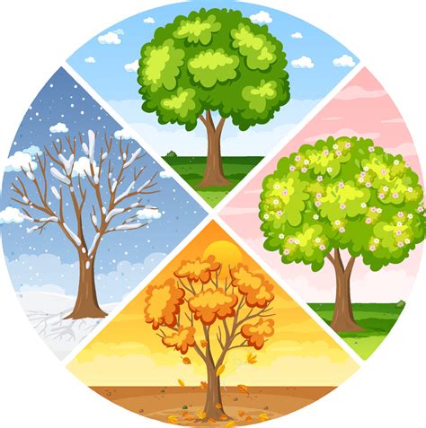 Seasons Vector Art Icons And Graphics For Free Download