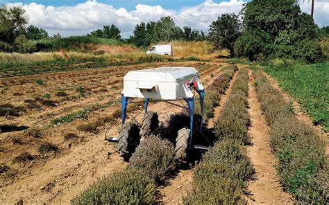 Robot Farmer Shaping The Future Of Agriculture In Greece