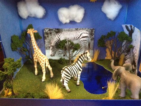Zebra Diorama For 3rd Grade Elephant Habitat Habitats Projects
