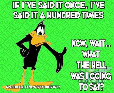 36 Best Looney Tunes Cartoon Captions Images On Pinterest