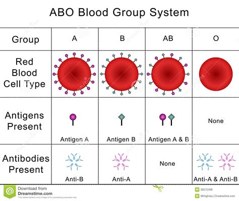 Abo Blood Group System Stock Photo Illustration Of Blood
