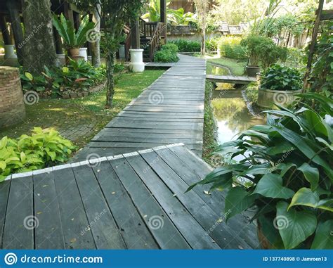 Walking Path In The Garden Thailand Spa Resort Wooden Walkway Stock
