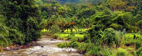 The weather in penang is quite uniform throughout the year , with only small variations by season. Bukit Barisan Selatan National Park - Sumatra - Indonesia