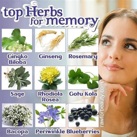 Top Herbs For Memory Raw For Beauty Herbs Natural Herbs