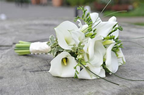 Calla Lily The Champagne Glass Shaped Flower In Bridal Bouquets Cgtn