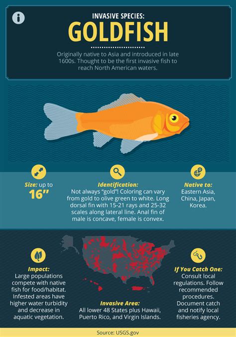 A Guide To Invasive Fish Species Invasive Species Animal Infographic