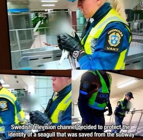 meanwhile in sweden meme guy