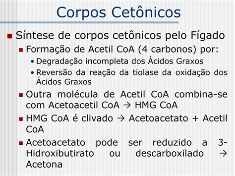 Formação De Corpos Cetonicos