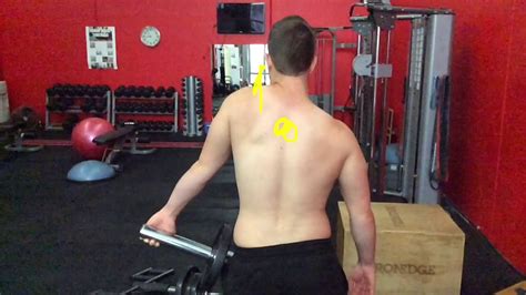 Upper Trap Strength Exercise To Retrain Scapula Movement Youtube