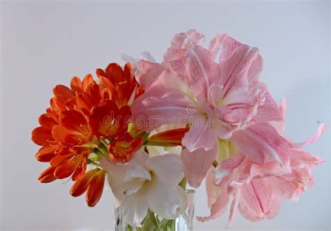 Red And Pink Flowers In A Vase With White Background Stock Photo