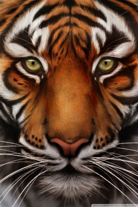 ✓ hd & 4k quality ✓free for find the best tiger pictures and images by browsing through our incredible photo library. Tiger Photos Wallpapers Group (81+)