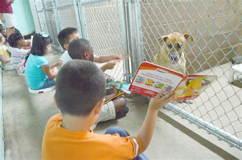 Transporting sick or injured stray animals that were picked up by the animal control officers to the emergency vet, rescuing animals locked inside hot vehicles and from abusive, cruel, or negligent. Students read to dogs at city animal shelter | Daily ...
