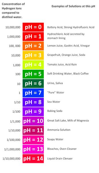 Different Water Brands And Their Ph Levels Different Ph Levels Of Typical Materials