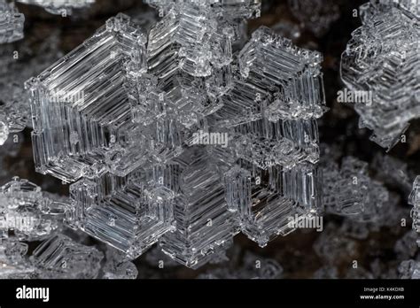 Ice Crystal Structure Black And White Image Stock Photo Alamy
