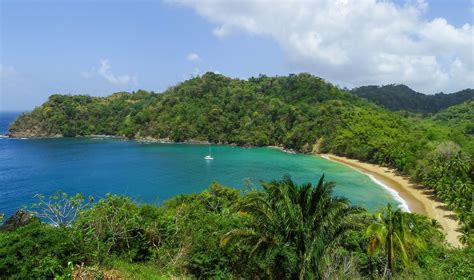 Explore The Untouched Island Of Tobago Weddingbells Secluded Beach Beautiful Beaches Tobago