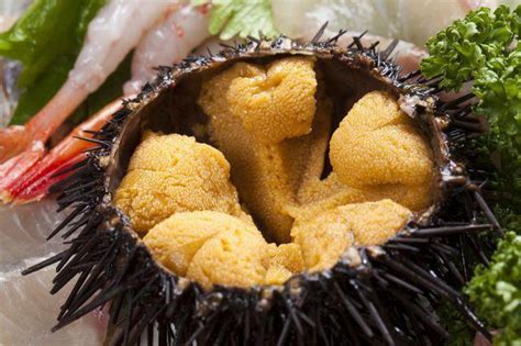 This Is A Sea Urchin The Inside Of It Is Edible And Has A Briny Taste