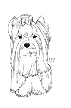 Use these images to quickly print coloring pages. Yorkshire Terrier Coloring Pages | Coloring pages, Dog ...