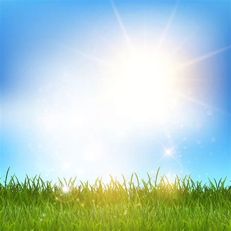 Blue Sky And Grass Landscape Download Free Vectors